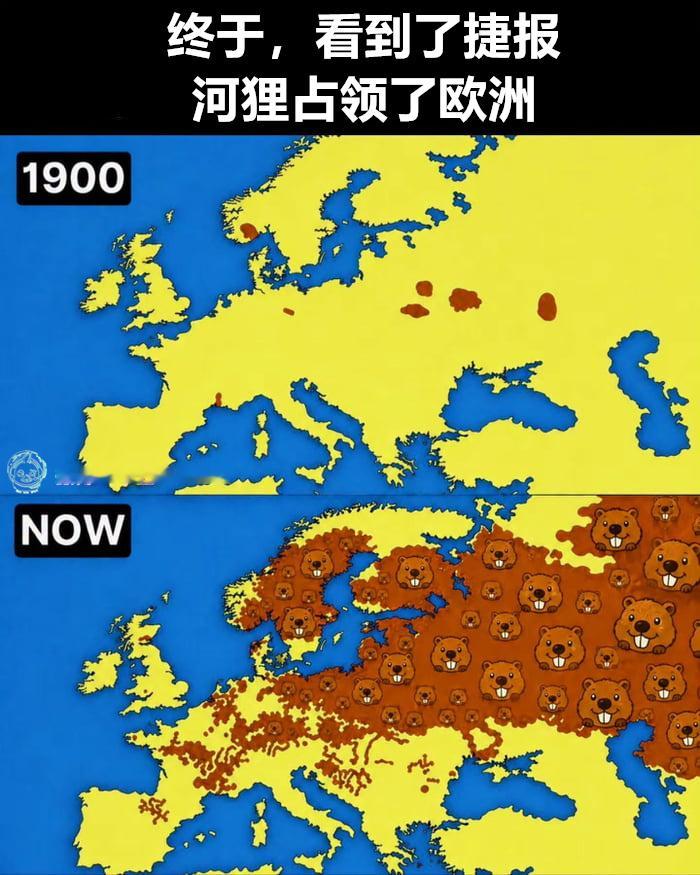 填色卡（9gag）今日meme 今日memes
