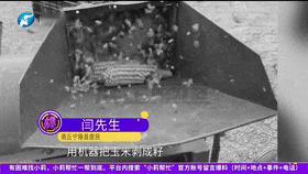 “防不胜防！”近日，河南商丘，一女子在家里干农活打玉米，谁知却突然开始头疼、咳嗽