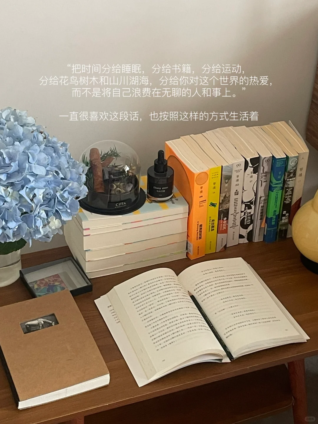 把时间浪费在美好事物上