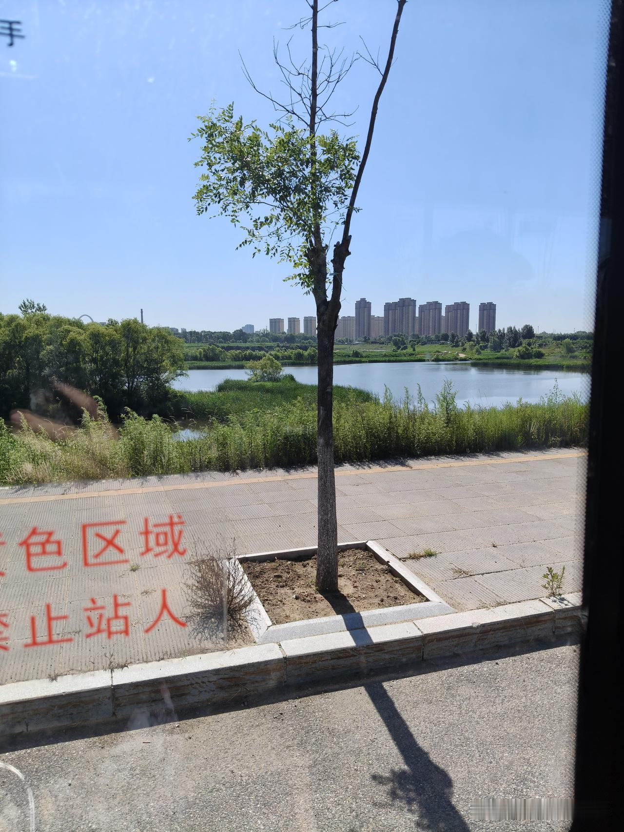 走走停停