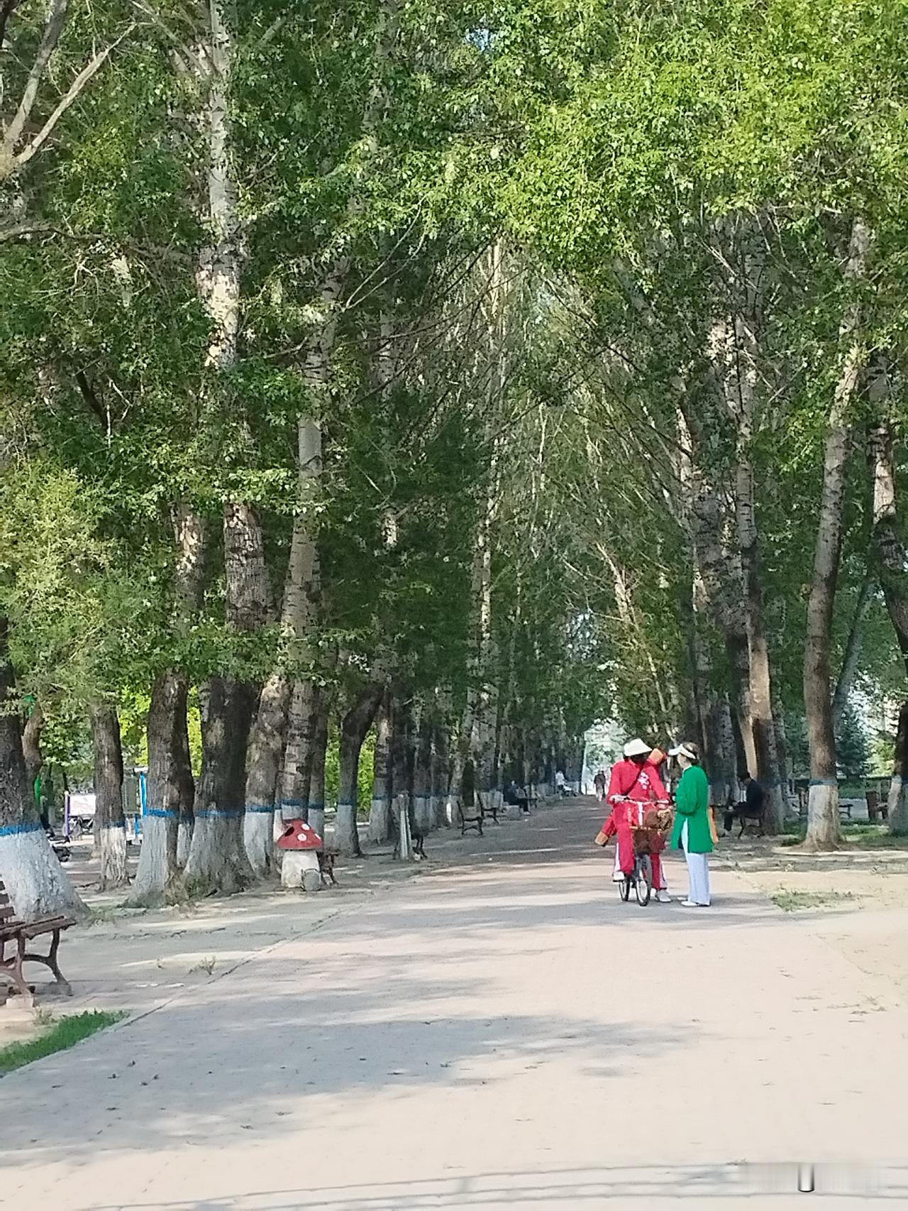 人形机器人，在我们人类的未来生活中，会普及是一定的。但是，这种普及要想达到手机一