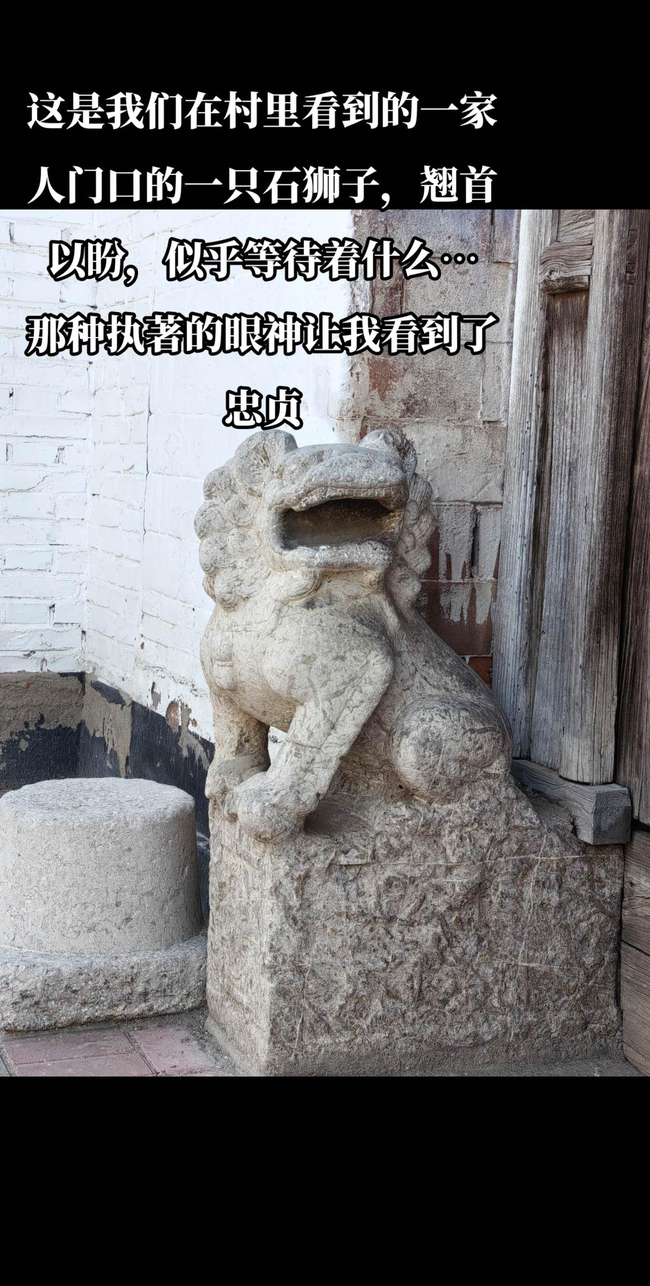 其实它们本是一对，我只拍了一只，看它那样子，也真可爱。你们村有这样的石狮子吗乡村
