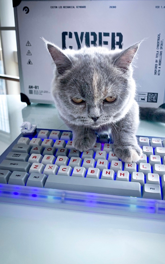 很多人问我们的品牌为什么叫 AngryMiao 。。。看图： ​​​