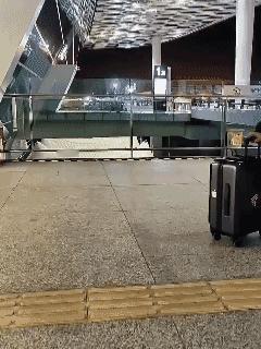 这是一位网友分享的视频，他亲自体验了深圳机场无障碍设施，整体的服务非常流畅，只要