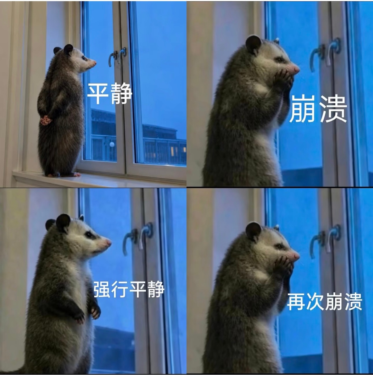【说个暴论】今天行情的天花板可能不高因为今天上涨的节奏不对早上开盘：半导体、通信