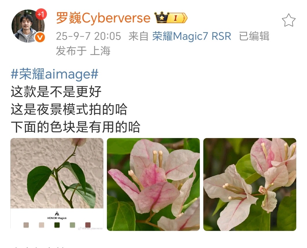 荣耀的AiMAGE 影像也有专属水印了，而且还带有色块元素。根据样张，色块元素似