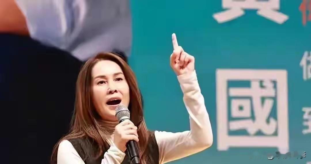 司法大刀挥向“眼中钉”，高金素梅案成台湾政坛照妖镜

高金素梅被北检求刑12年半