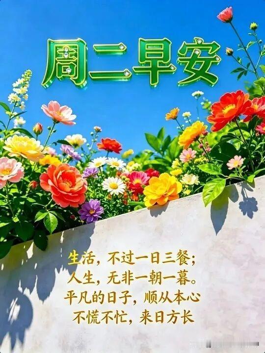 周二早安，花开的美好一天！