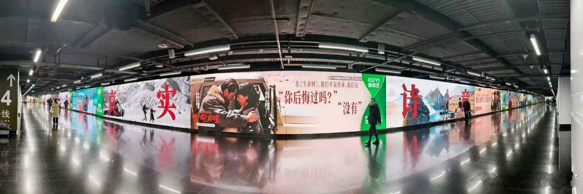 杨紫胡歌《生命树》北京上海超大地广！排面拉满！坐等明天播出生命树微博指数破900