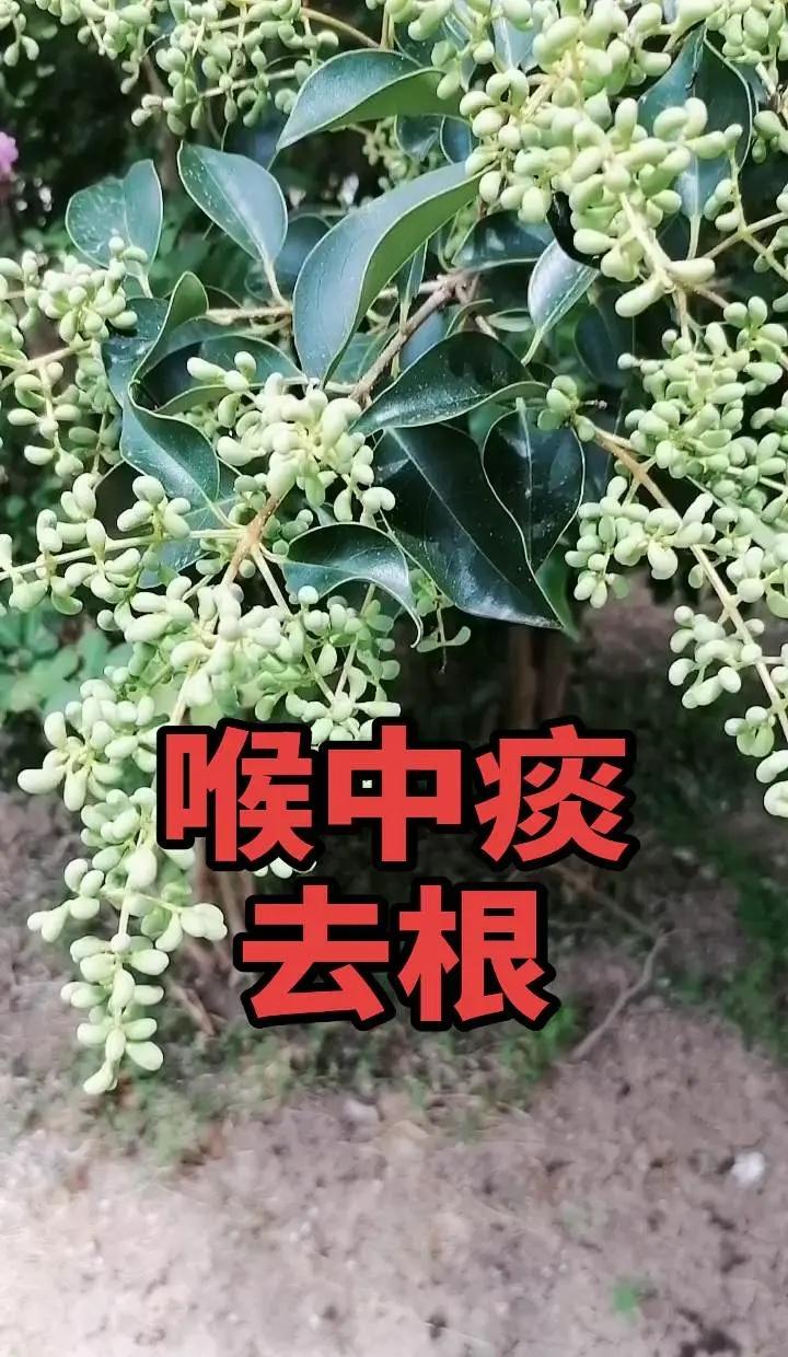 🔥绝境硬刚！孙颖莎1‑4落后狂拿10分，赛点博弈险过关2026伦敦世乒赛 乒乓