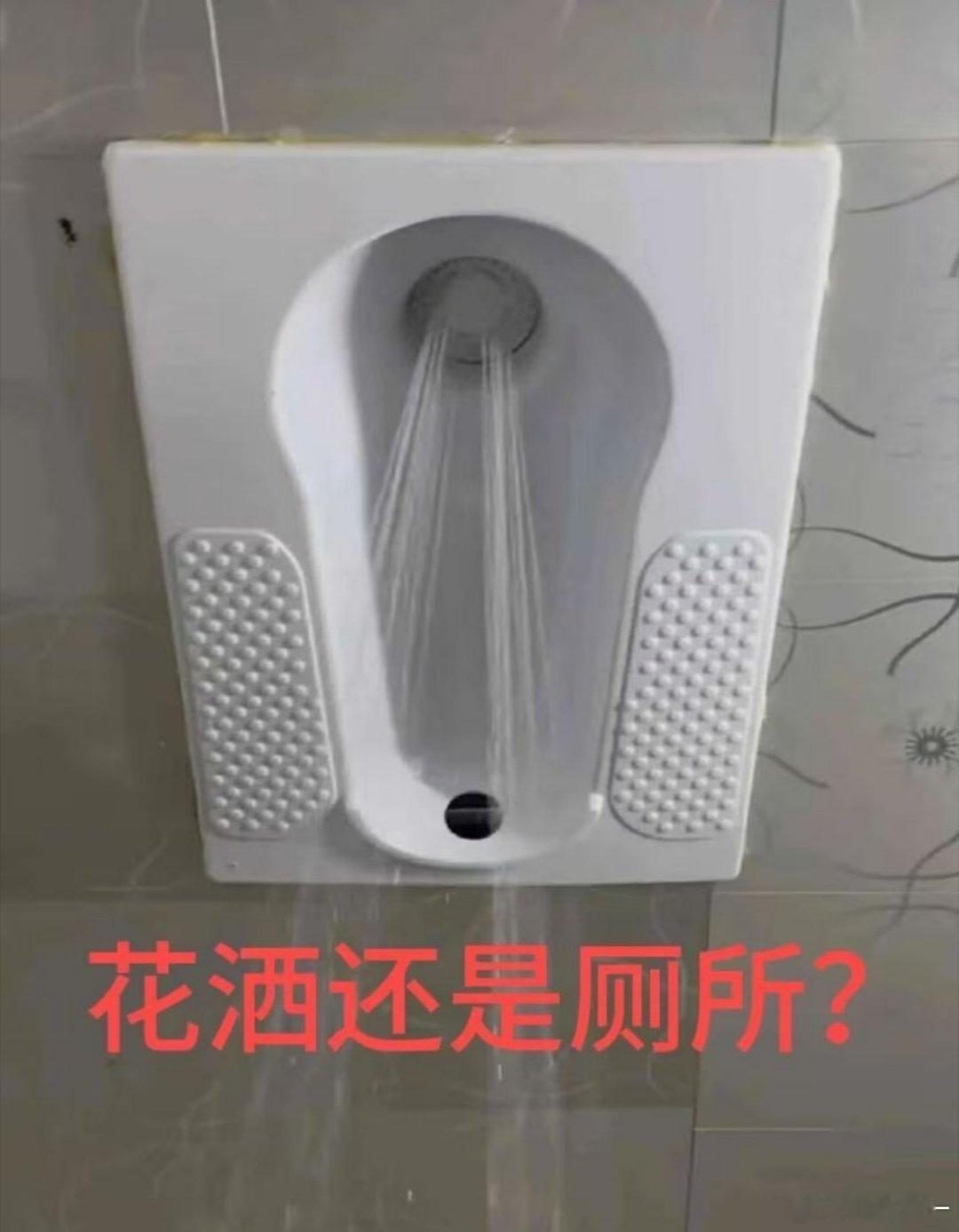 每日趣图 