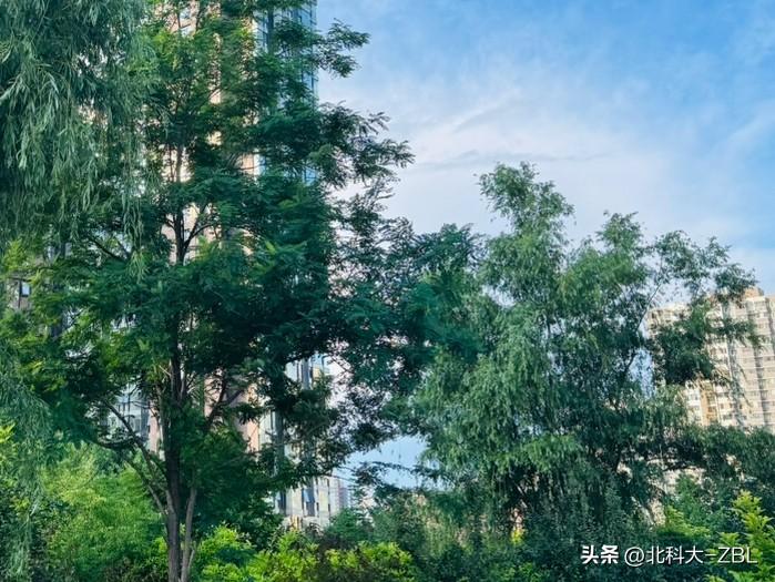 抢时间申购康美特，说不定有意外惊喜

康美特今天申购，网络上对申购资金总量的预测