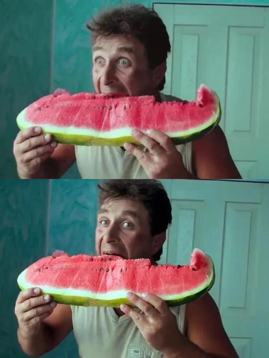 天呐‼️这个纪录片惊艳的让我爆哭😭