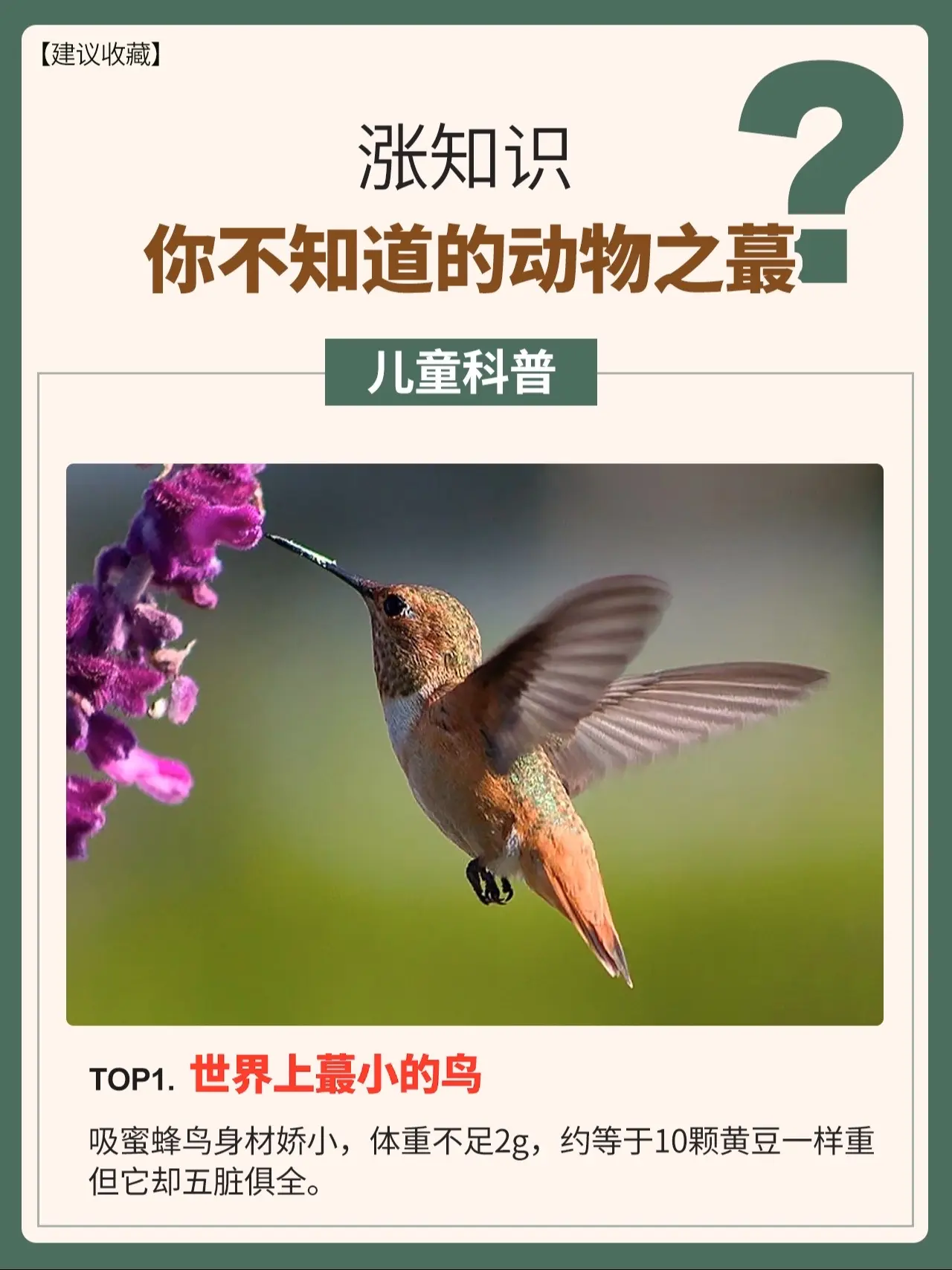 不愧是DK出品，孩子一拿到就爱不释手🔥。这本奇妙动物大百科，精选了百...