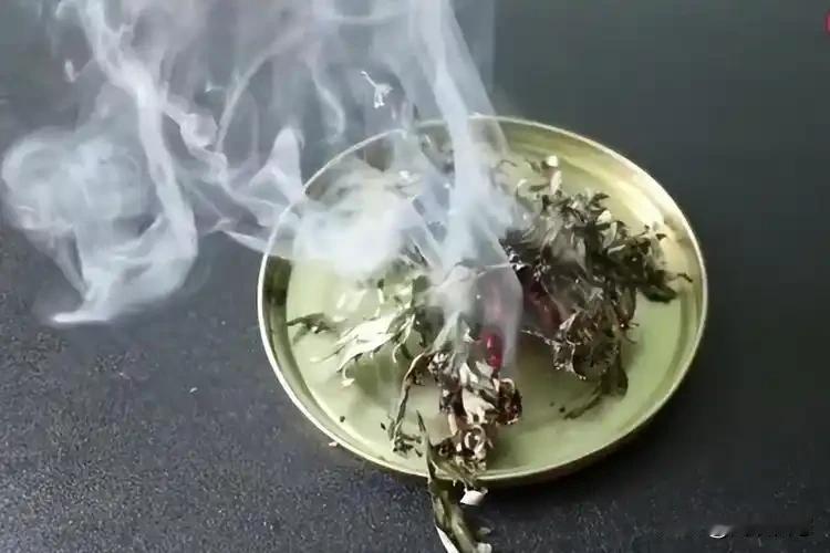 科学还是可以信任的
我们小时候在夏天夜晚，被蚊子叮的睡不着觉。
在报纸上看到干蒿