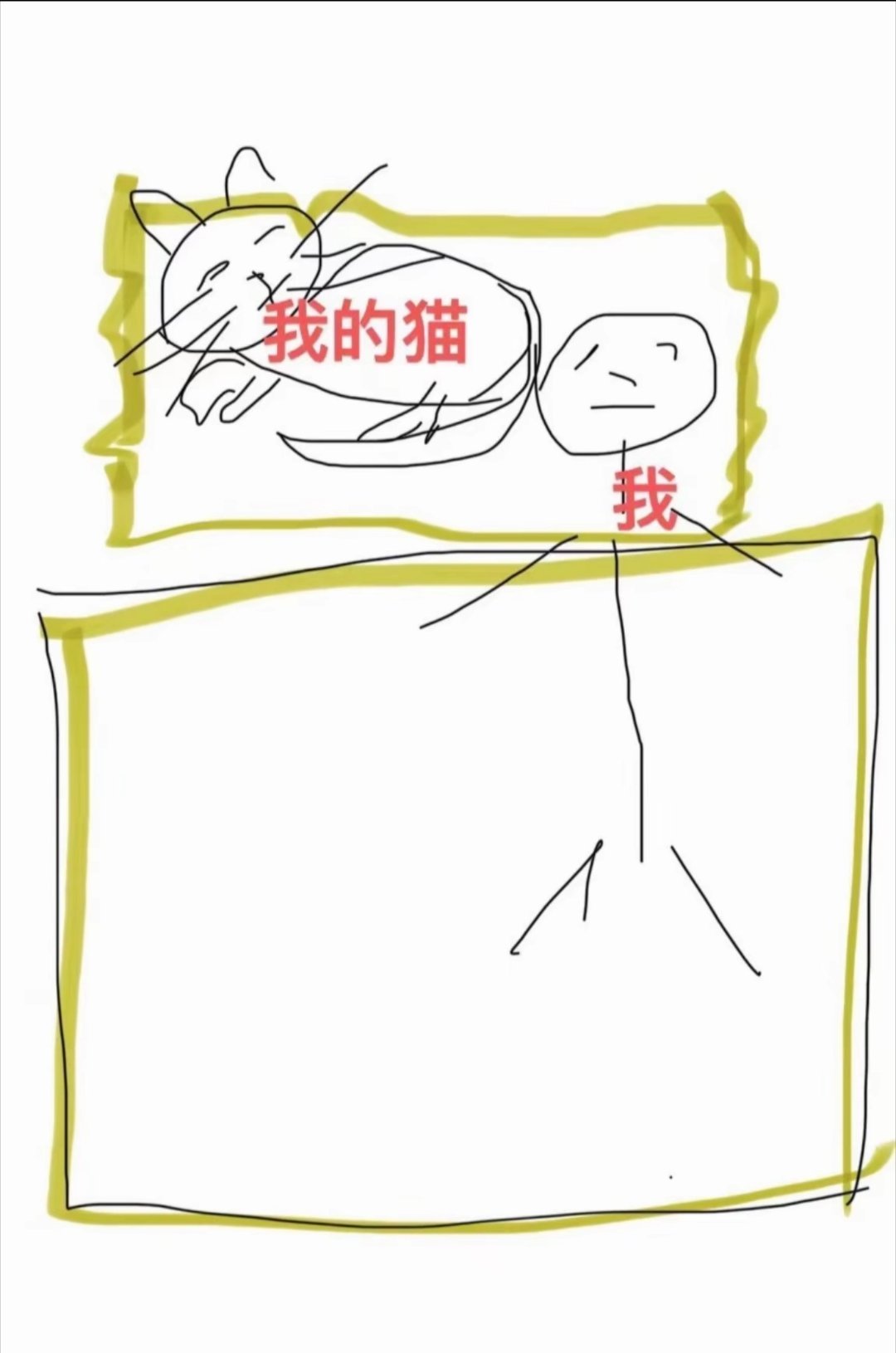 这就是我的猫粘人方式