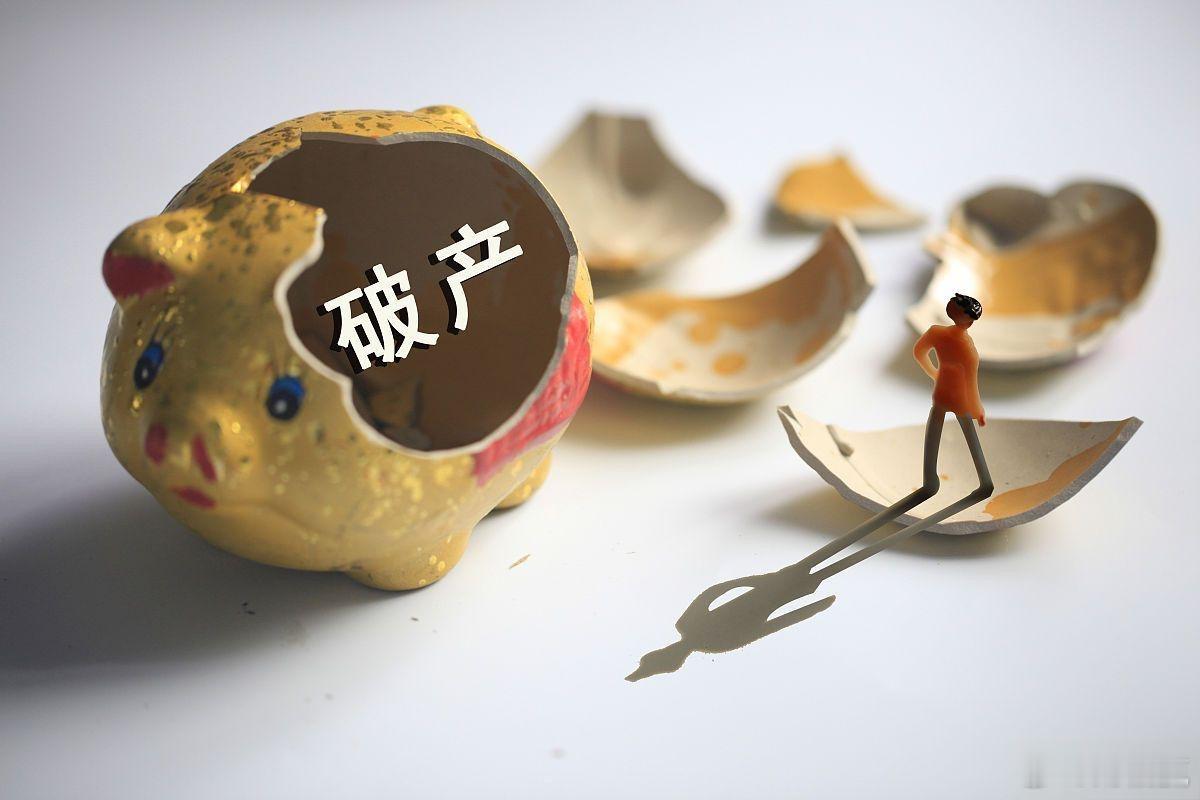 破产企业财产专用账户增持是什么？破产企业财产专用账户增持，指的是破产企业财产处置