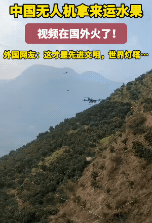 非常认可外国网友的说法，“这才是先进的文明，用无人机帮农民运果子。”
兄弟们，这