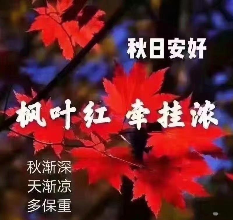 有点爱好让日子有兴趣，有点牵挂让岁月有念想。愿生活不太拥挤，愿美好不期而遇。。。