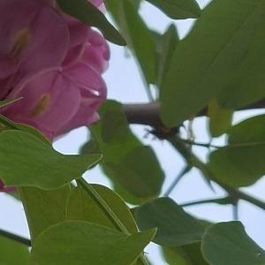 每日一善每日一善 人生就是一场修行，修的就是一颗心，珍惜今天，珍惜现在，风舞落叶