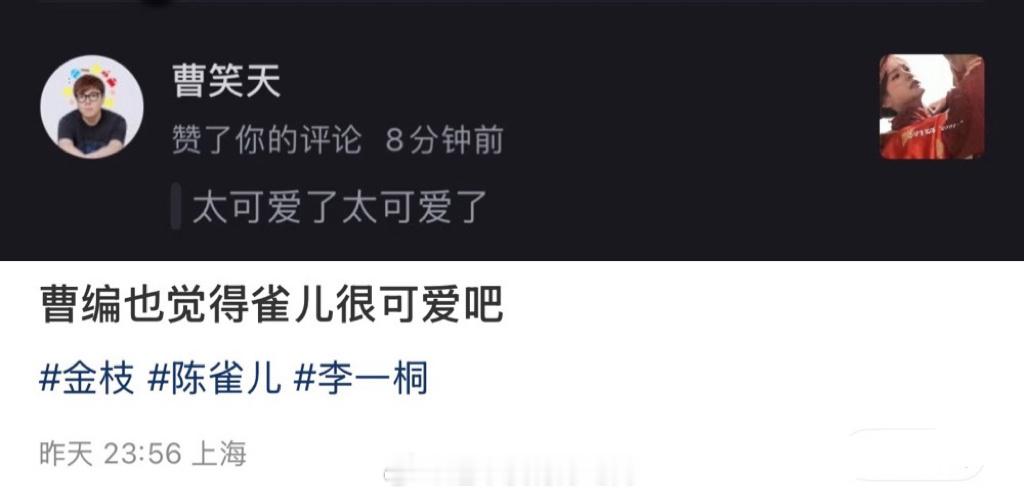 《金枝》编剧赞的李一桐粉丝做的《金枝》预告就说这么可爱的陈雀儿谁能不爱太人之常情