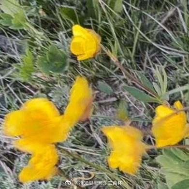 阳光信用[超话]‎阳光‎信用[送花花]‍每日‎一善 本浩☀️极好保持良好的互动和