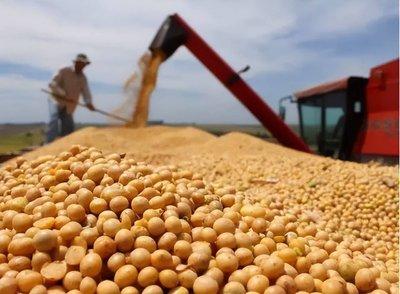 不少国家都觉得中国人傻钱多，都想等机会狠狠敲诈一笔，巴西大豆掌握中国70%以上的