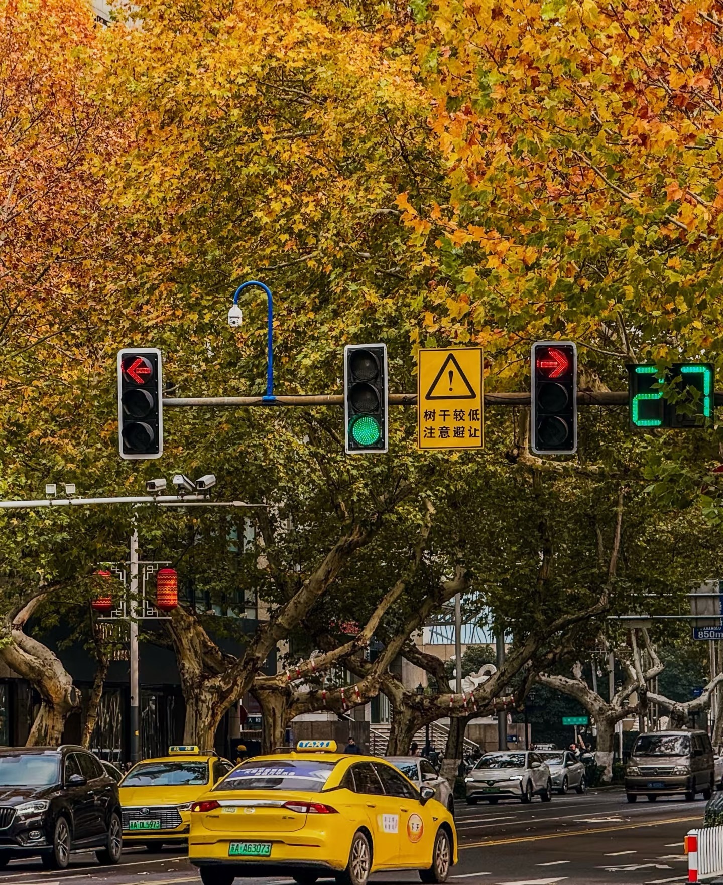 来到右转都要看红绿灯的城市，是真的不适应啊，城市道路的设计真是百变，什么时候能设
