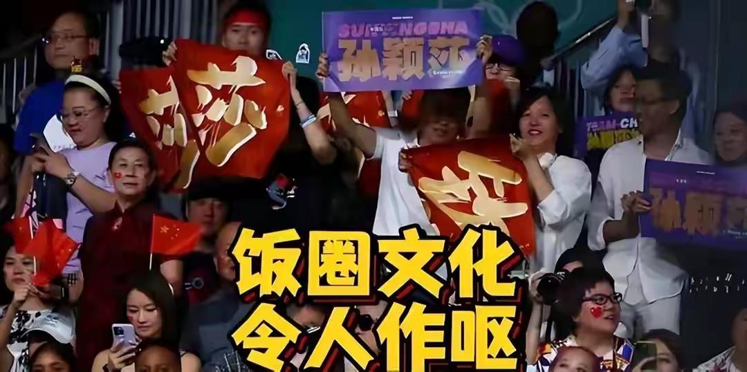 饭圈本身根本不是什么洪水猛兽，只是一群因为同一个喜欢的人凑到一起的社群而已。早年