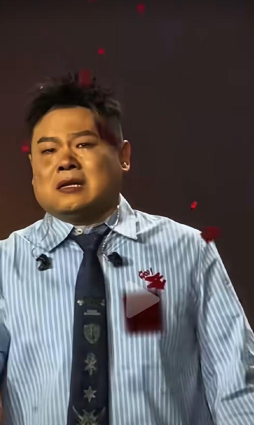 岳云鹏演唱会，唱南泥湾唱的泪流满面，不能自已。
从一个演员的角度来说，岳云鹏无疑