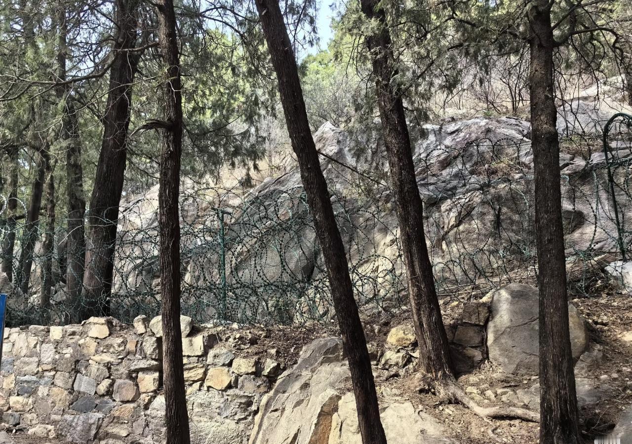 被铁丝网围得密不透风的泰山天外村
不知从何时起，泰山便被铁丝网缠绕，就连天外村东