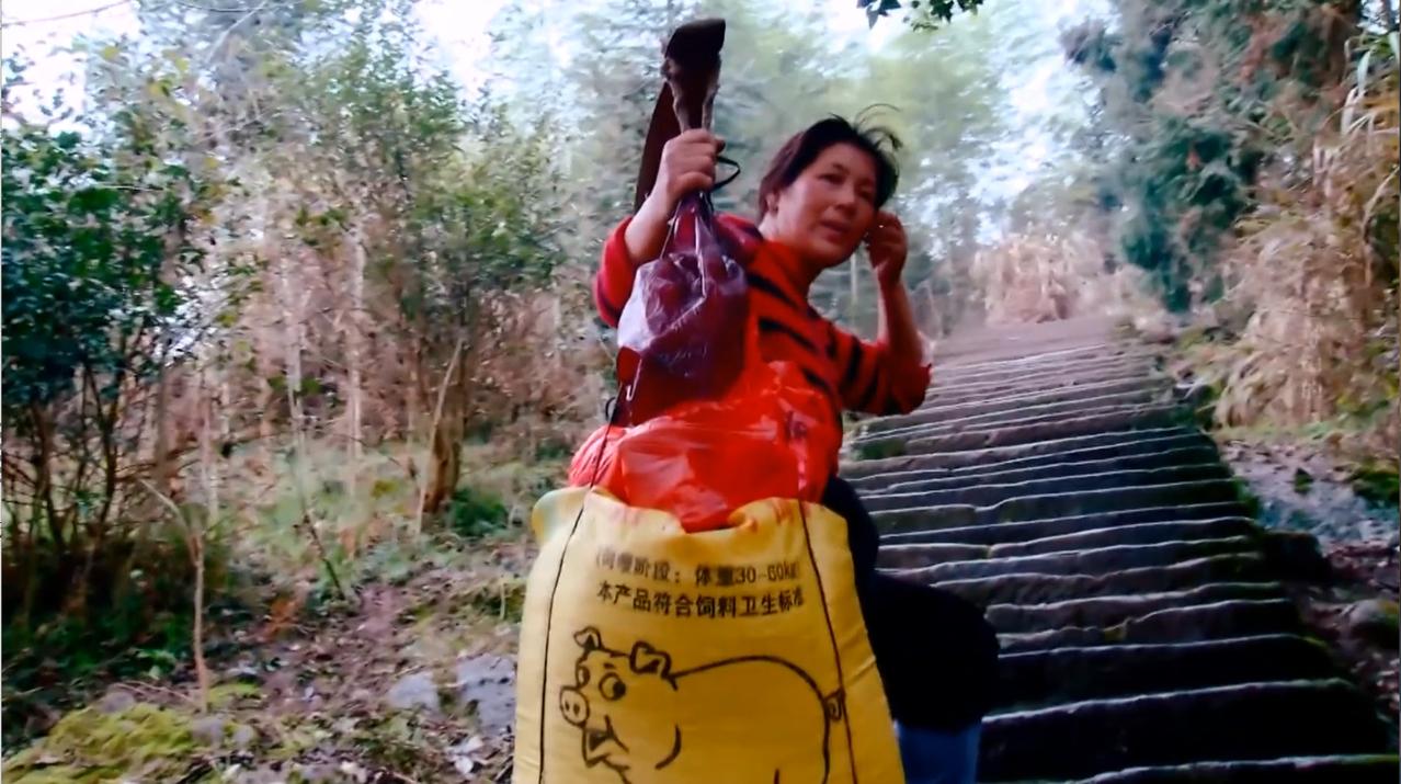 2013年，安徽黄山，一位寡妇做挑山夫20年，辛苦养育了3个儿女，把2个培养成大