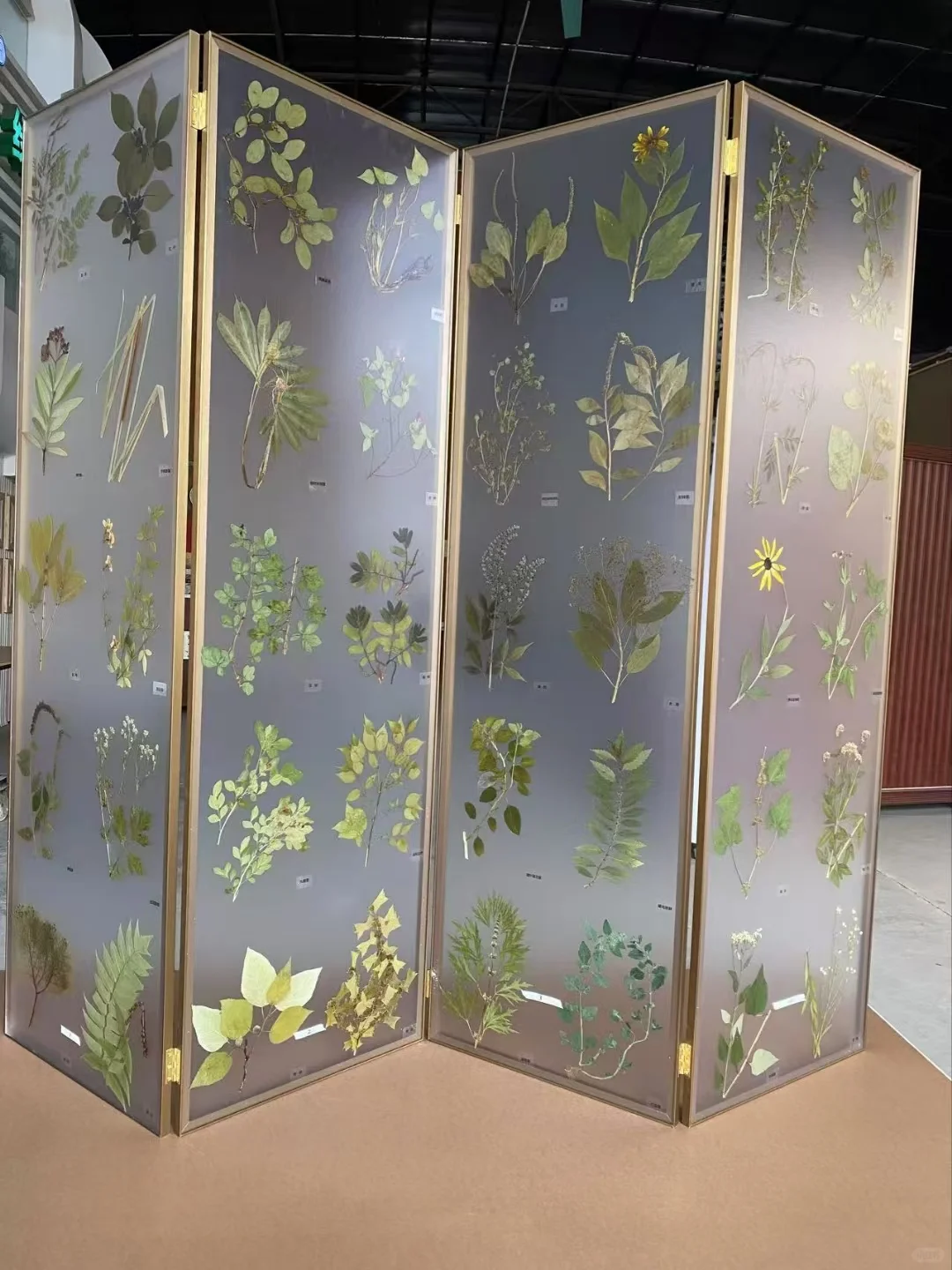 快来看看你的屏风