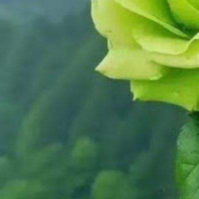 阳光信用 ☀️想涨ygxy的可以来和我互动啦🉑转 🉑评 🉑蹭  ☀️极好7