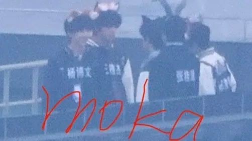 老🐉依旧是兔子哥哥哈哈哈哈，枳的破防我知道 