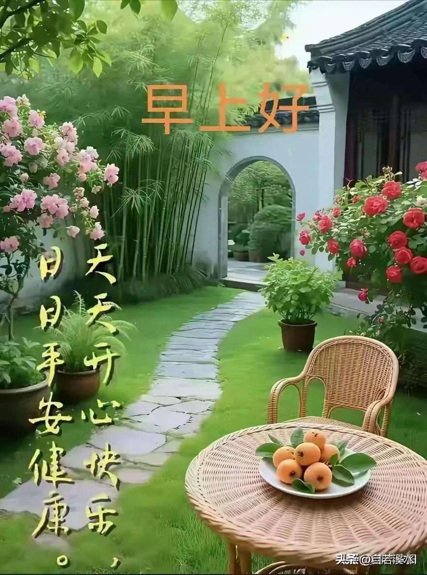 早安，醒来第一件事，就是祝你今天轻松又快乐。
