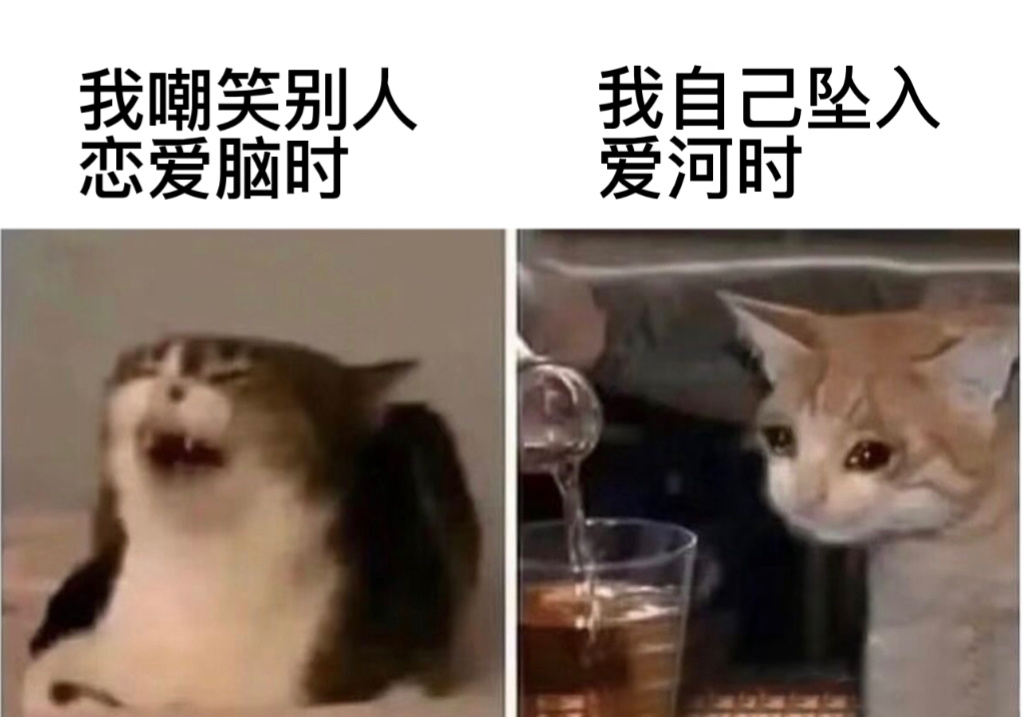 谁喝谁醉#今日memes# //#春日cityhappy计划# ​​​