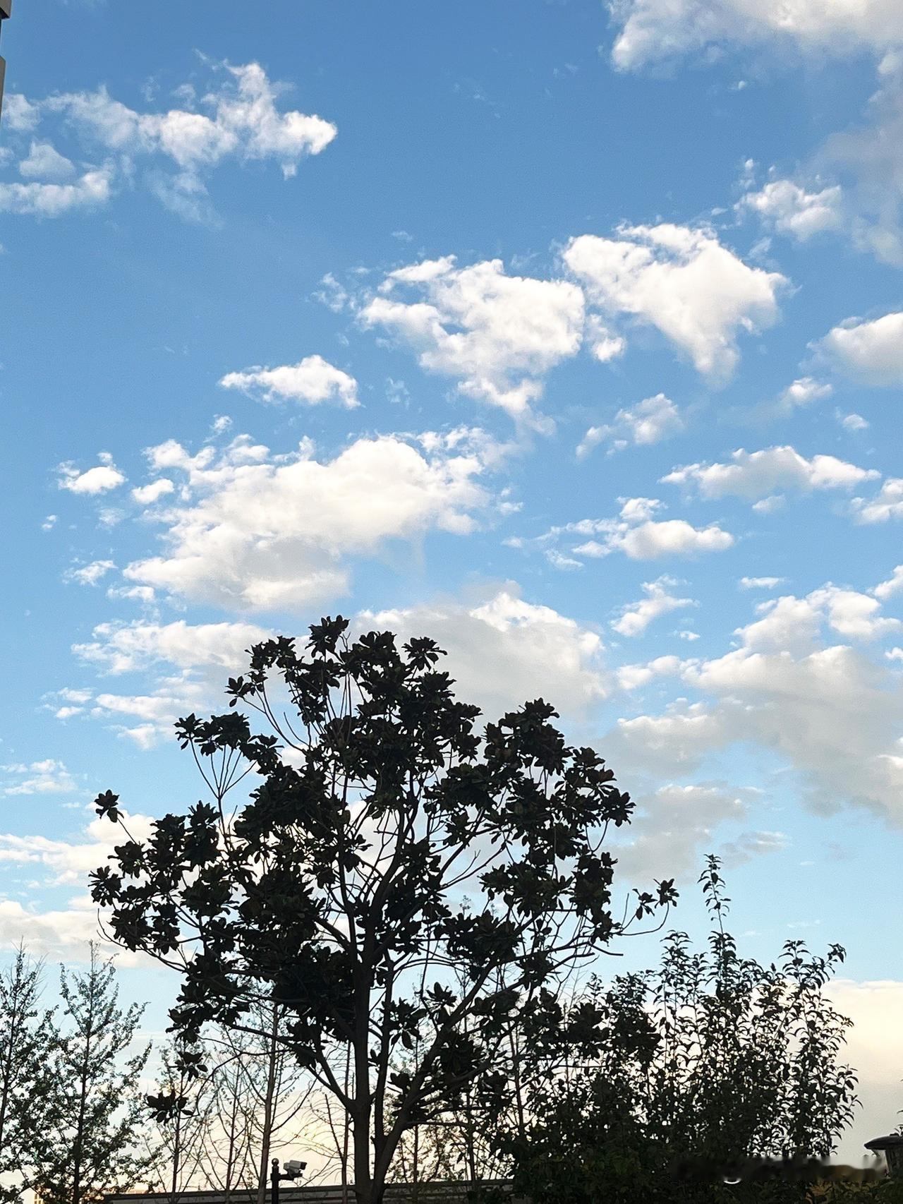 一段特别扎心而又深刻的话：“人是怎么变强的？答案是：失去。
失去依赖，失去退路，