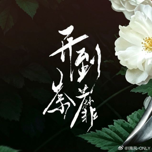 开到荼蘼终于要来了，白鹿鲨回现代剧了开到荼蘼7月24日开机白鹿演现代剧