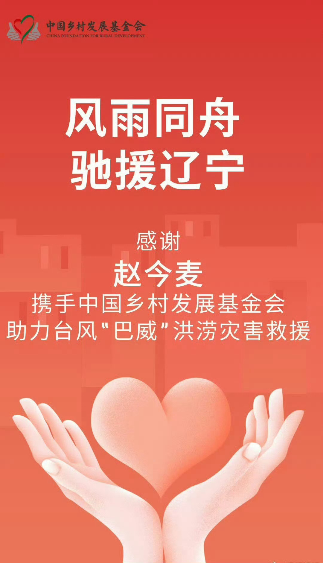 赵今麦驰援沈阳赵今麦心系家乡，风雨同舟