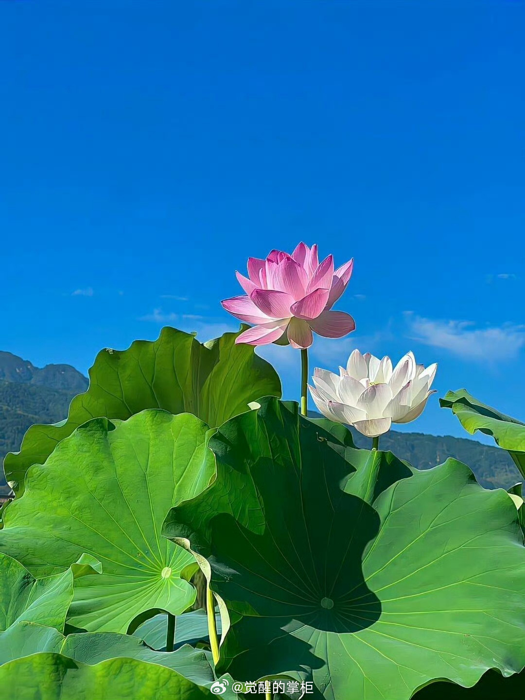 什么叫福报？就是当你处在绝境时，所有人都认为，你必死无疑的时候，你却有着绝地重生