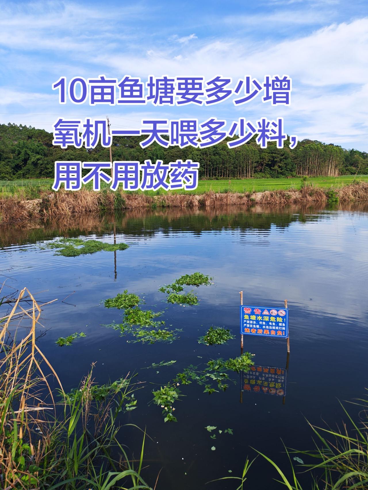 准备要买增氧机了，10亩鱼塘要多少台？而且每天要吃多少料钓鱼 山地林地水库鱼塘 