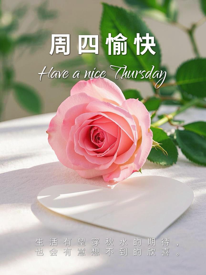 又是美好的一天。。。