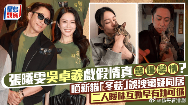 【娛樂新聞】張曦雯吳卓羲疑戲假情真？新貓「冬菇」成洩蜜鐵證 二人曖昧互動早有跡可