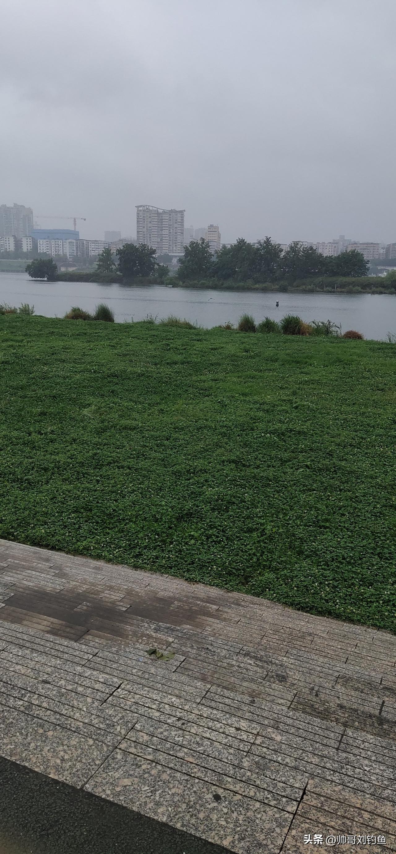 雨后初晴的湖畔，简直是人间仙境。绿草如茵，像一块巨大的绿色绒毯铺在大地上，每一根