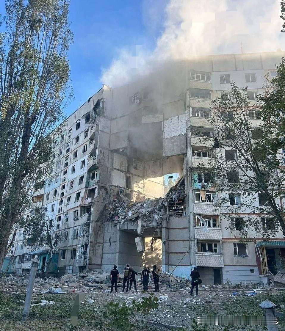 看着真挺唏嘘的，乌克兰现在这情况，估计满大街想找个青壮年劳力都费劲。

仗打了这