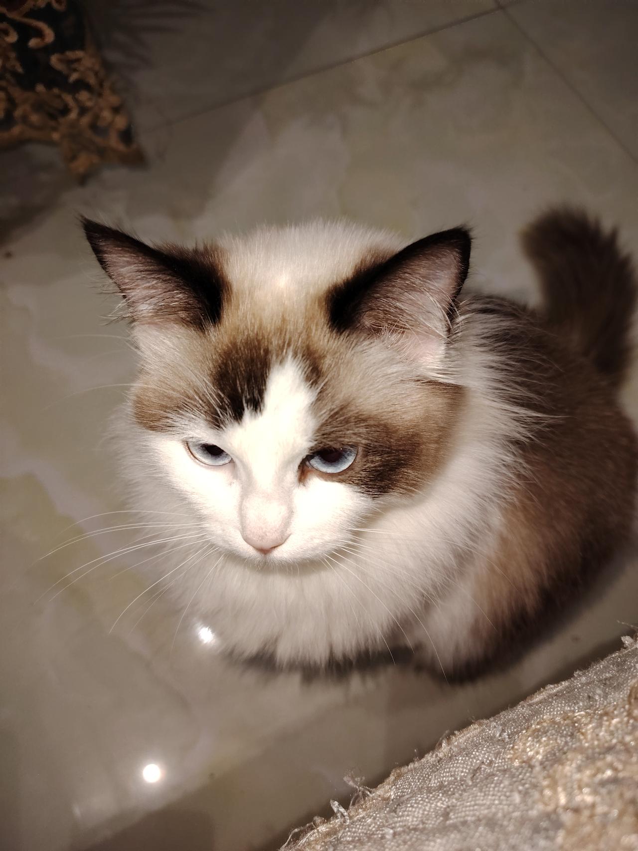 你认为人幸福不幸福取决于什么