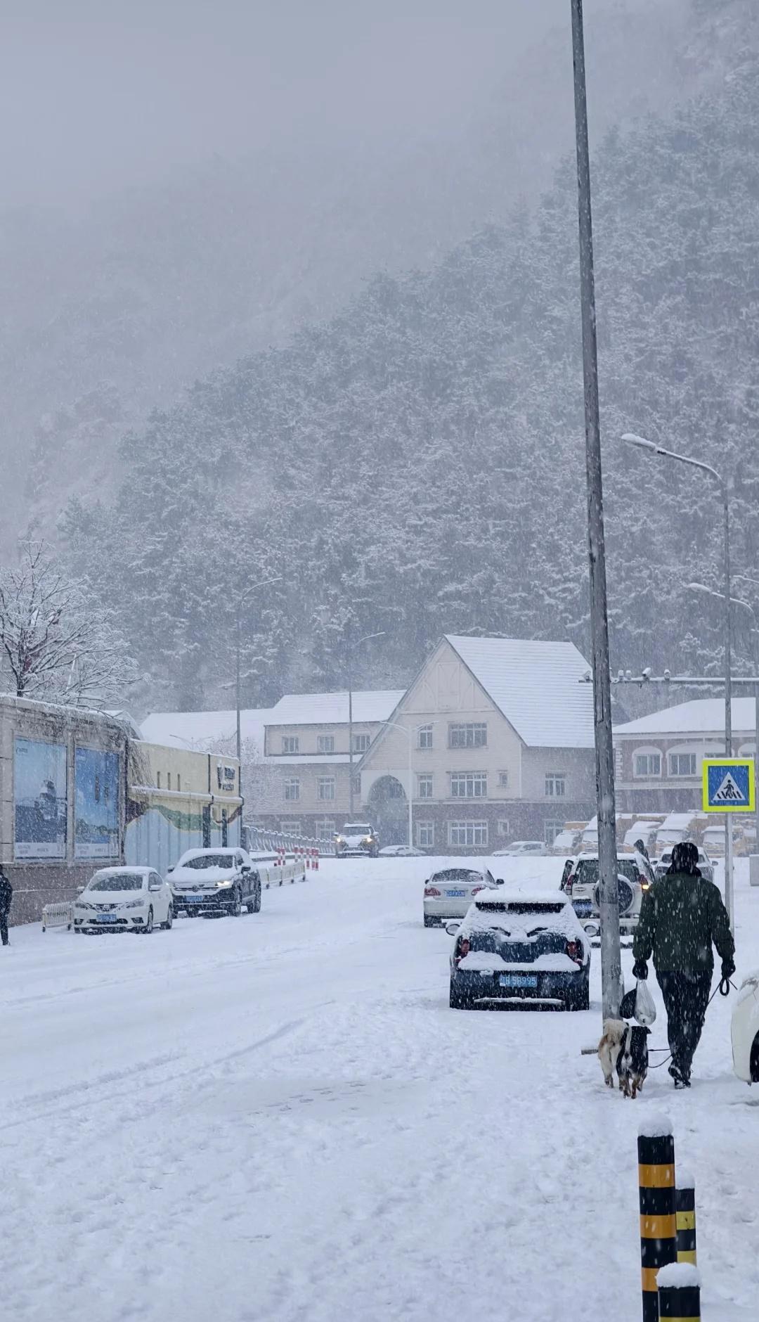 12.30大连大雪！
2025年最后一场雪了可能
大连