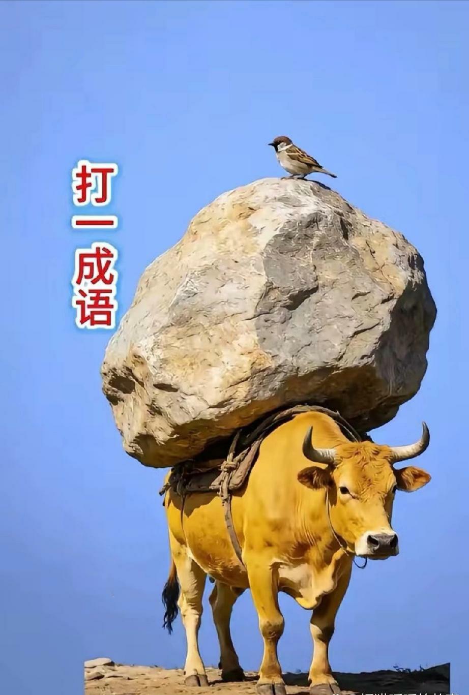 苦思冥想不得解，打一成语！