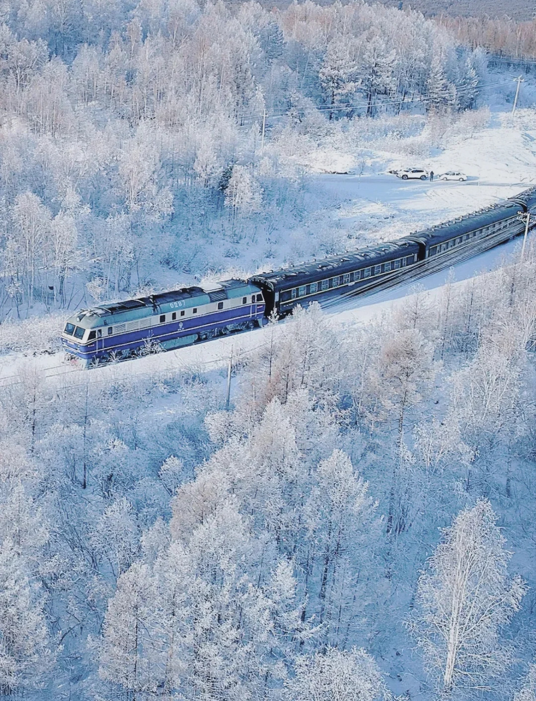 2024年的第一场雪 小雪伊始一场清染人间的洁白向天地万物问候冬安冬天总要去一次